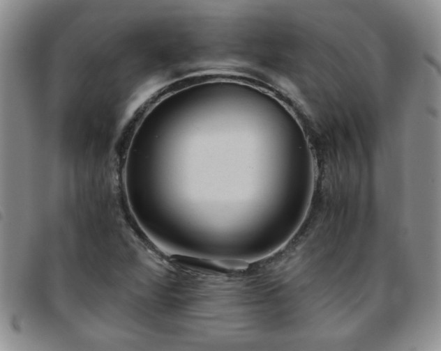 X0000097761360200803141714