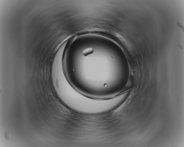 X0000097761361200803141714