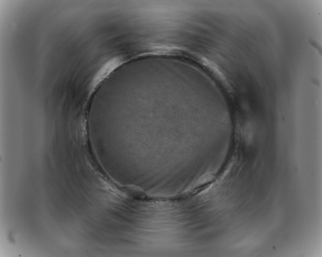 X0000097761362200803141714