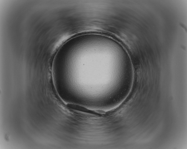 X0000097761363200803141714