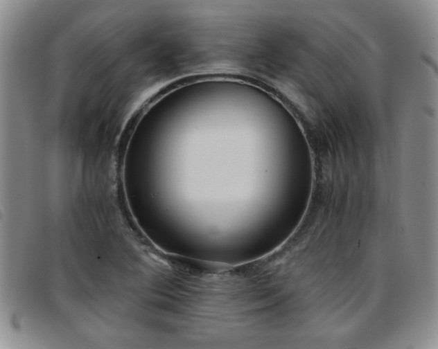 X0000097761364200803141714