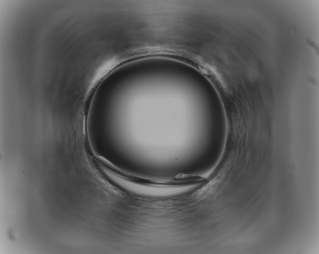 X0000097761365200803141714