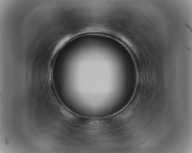 X0000097761366200803141714