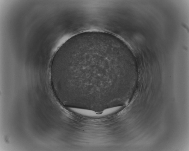 X0000097761367200803141714