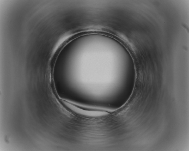 X0000097761368200803141714