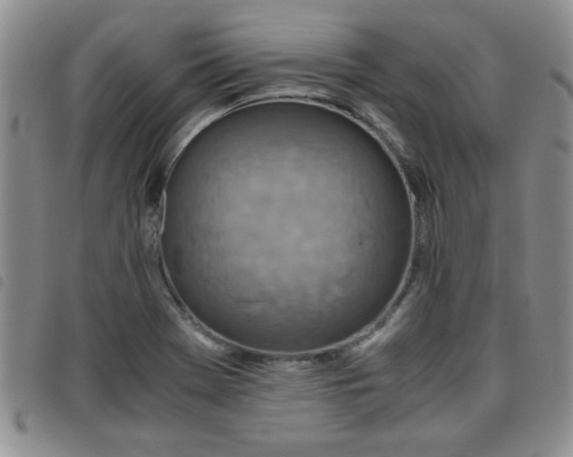 X0000097761369200803141714