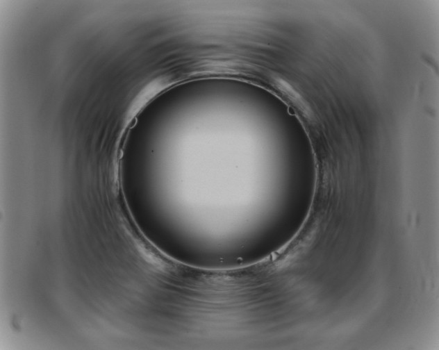 X0000097761370200803141714