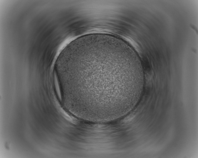 X0000097761371200803141714