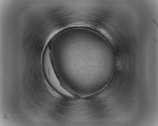 X0000097761372200803141714