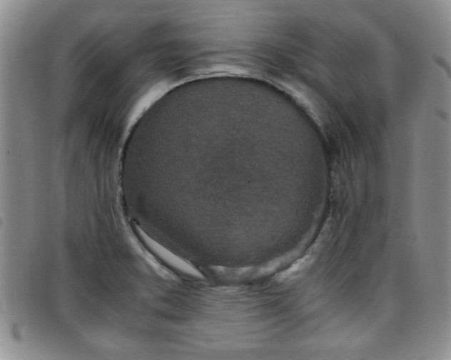 X0000097761373200803141714