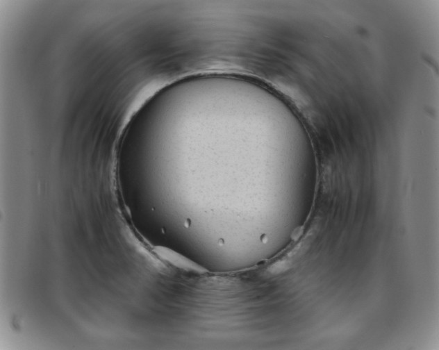 X0000097761374200803141714