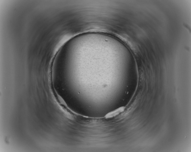 X0000097761375200803141714