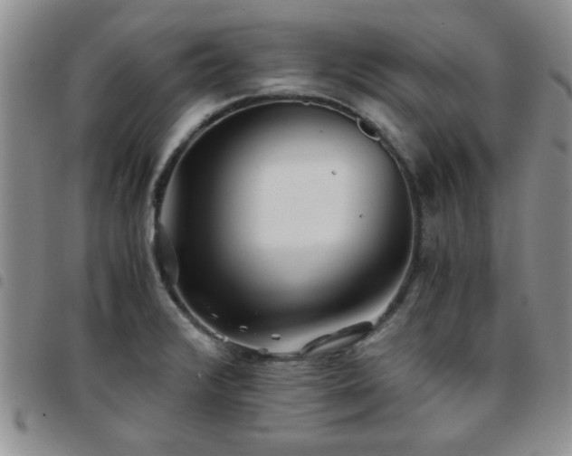 X0000097761376200803141714