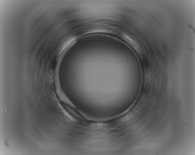 X0000097761377200803141714