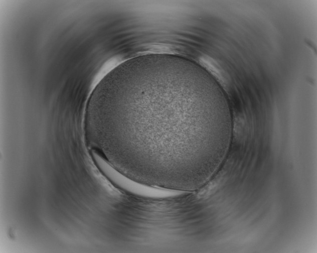 X0000097761378200803141714