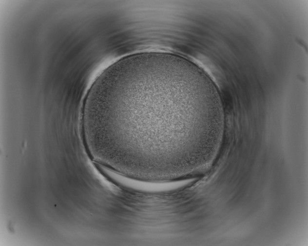 X0000097761379200803141714