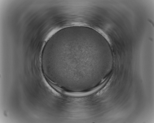 X0000097761381200803141714