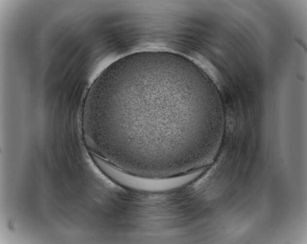 X0000097761382200803141714