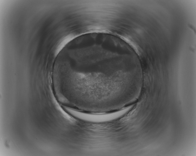 X0000097761383200803141714