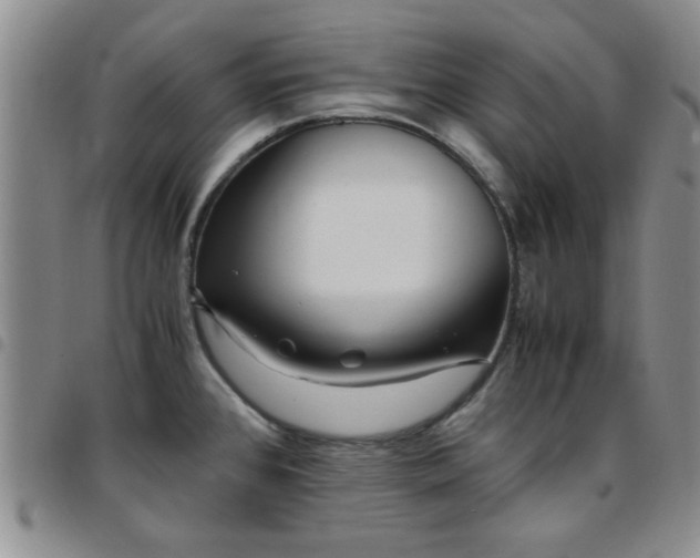 X0000097761384200803141714