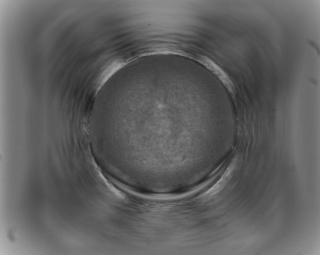 X0000097761385200803141713