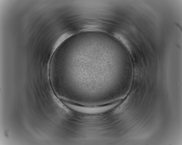 X0000097761386200803141713