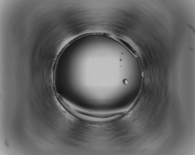 X0000097761388200803141713