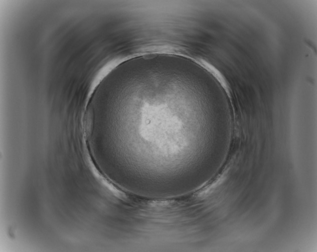 X0000097761389200803141713