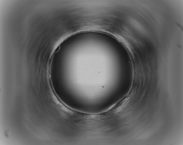 X0000097761390200803141713