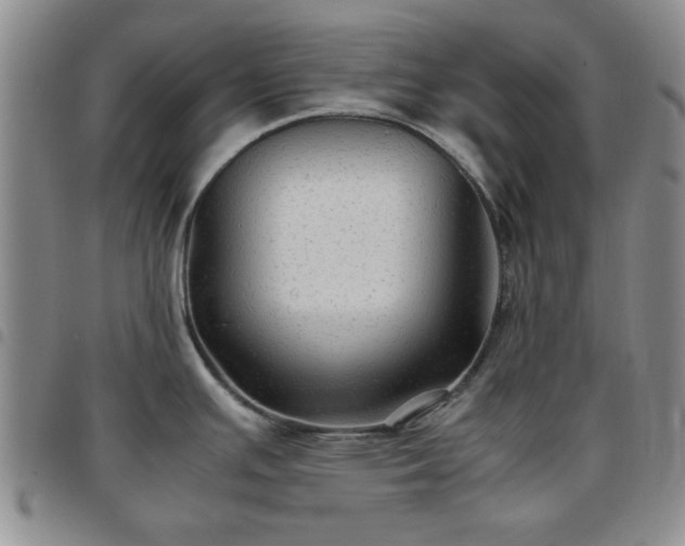 X0000097761391200803141713