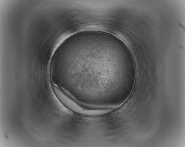 X0000097761392200803141713