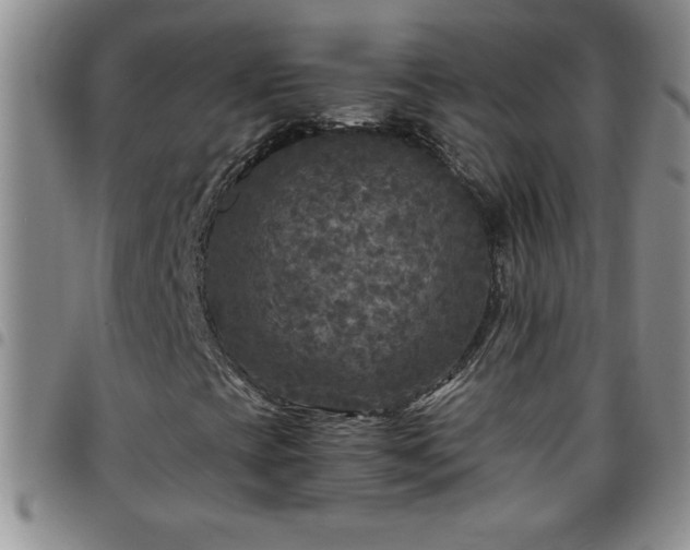 X0000097761393200803141713