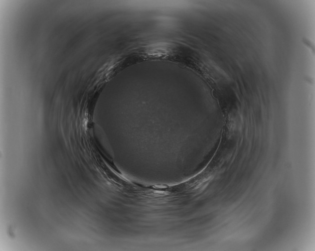 X0000097761394200803141713