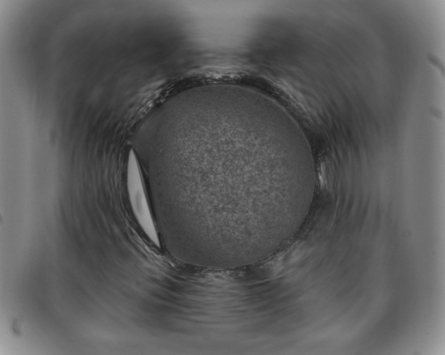 X0000097761396200803141713