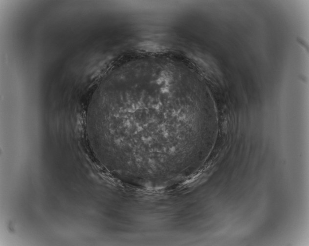 X0000097761397200803141713