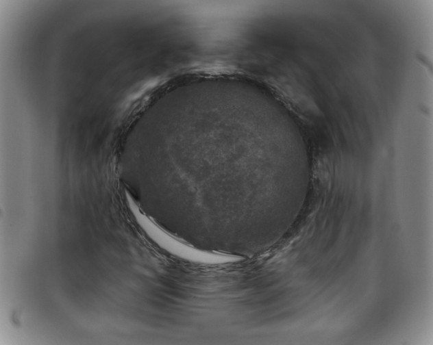 X0000097761398200803141713