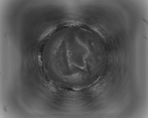 X0000097761399200803141713