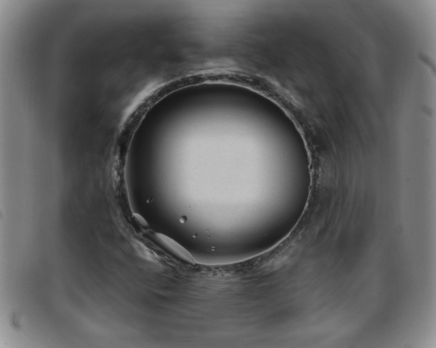 X0000097761400200803141713