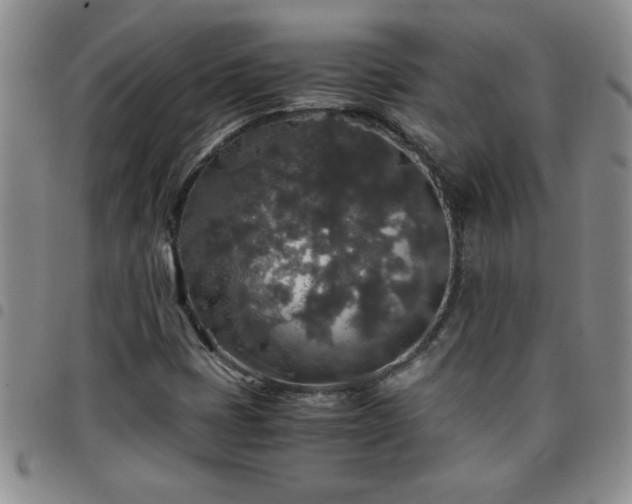 X0000097761401200803141713