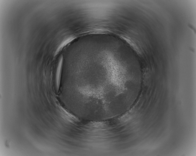 X0000097761402200803141713