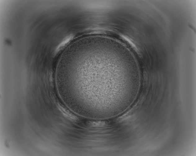 X0000097761403200803141713