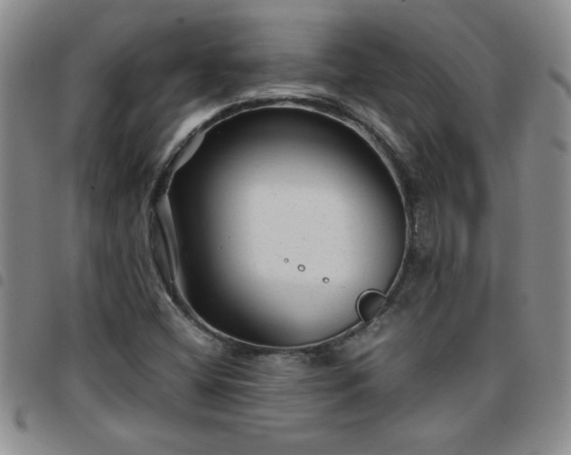 X0000097761404200803141713