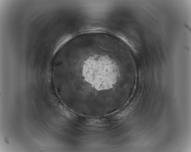 X0000097761405200803141713