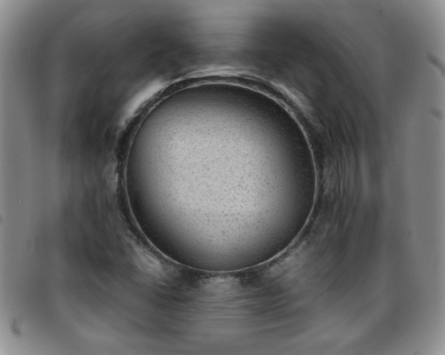 X0000097761406200803141713