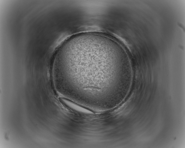 X0000097761407200803141713