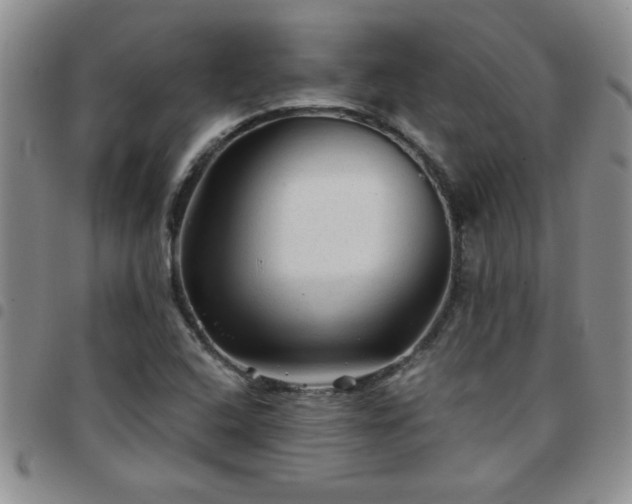 X0000097761408200803141713