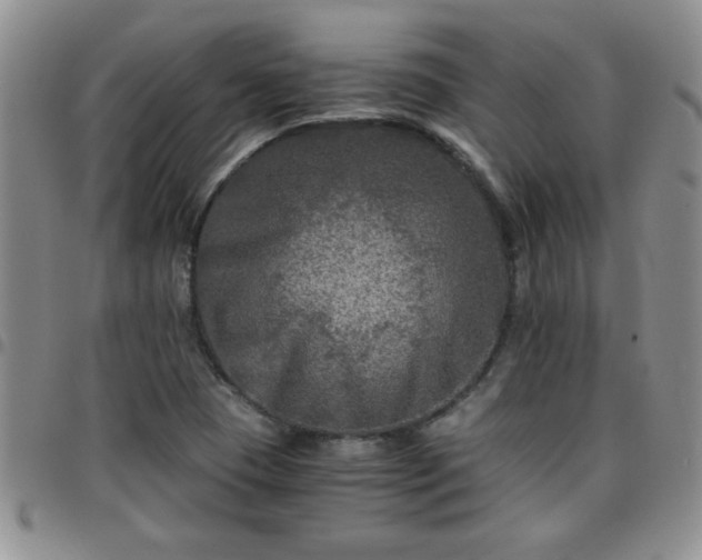 X0000097761409200803141713