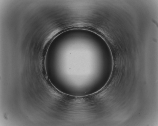 X0000097761410200803141713