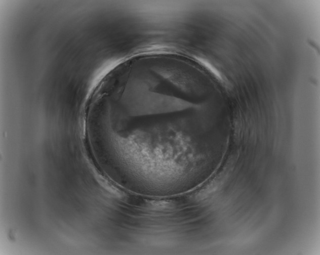 X0000097761413200803141713