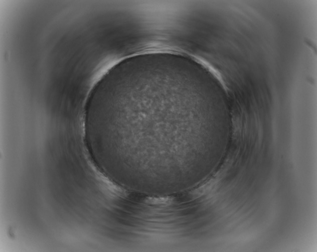 X0000097761415200803141713